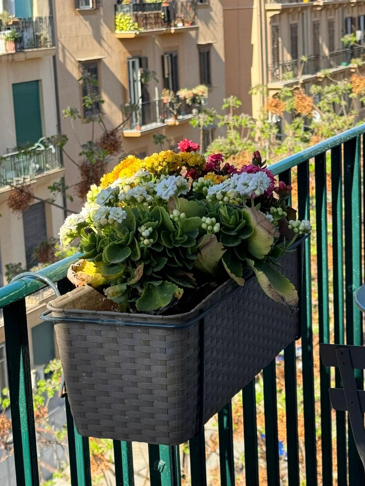Di Fresco Apartments - Holiday House باليرمو المظهر الخارجي الصورة